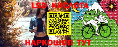 стафф Можга