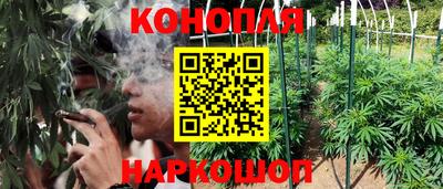 кокс Можайск
