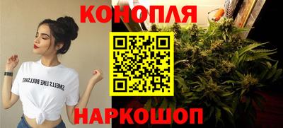 стафф Можга