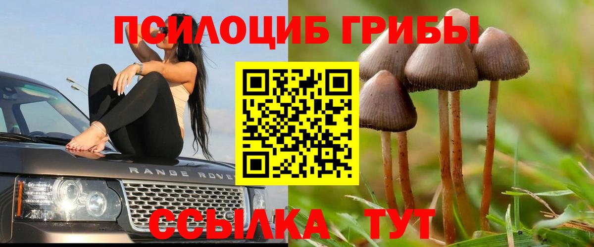 Галлюциногенные грибы Psilocybe  Вход с VPN  Ярцево 
